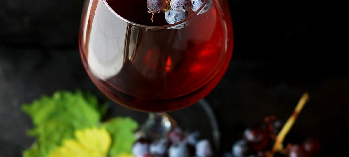 Dégustation de vin blanc dans une cave, vignerons