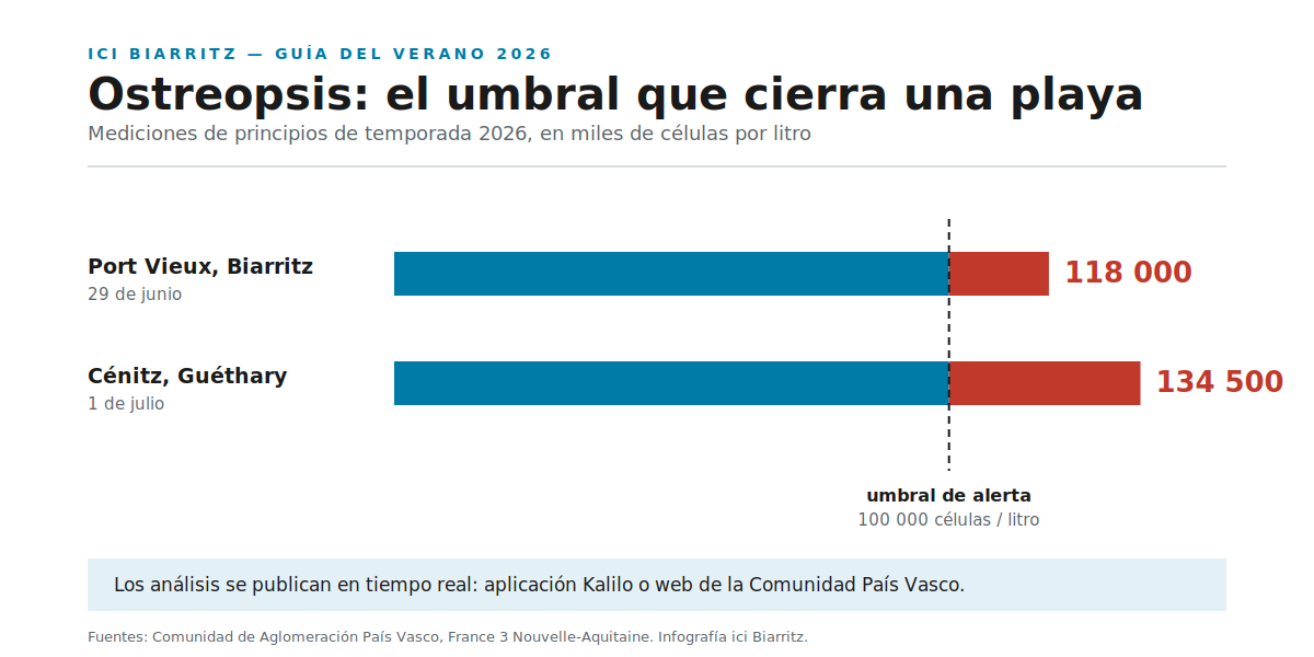 Mediciones de Ostreopsis en la costa vasca en 2026: 118 000 células por litro en el Port Vieux y 134 500 en Cénitz, frente a un umbral de alerta de 100 000.