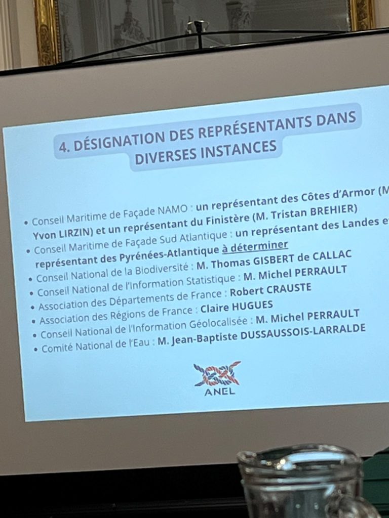 ANEL slide: appointment of representatives to various bodies